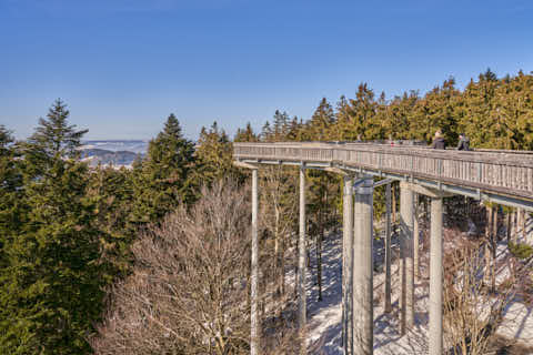 Gemeinde St._Englmar Landkreis Straubing-Bogen Maibrunn Waldwipfelweg (Dirschl Johann) Deutschland SR